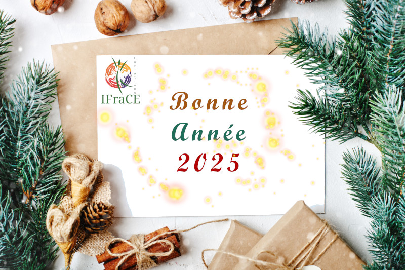 Bonne année 2025